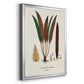 Botanical Society Ferns I - Modern Framed Canvas Print