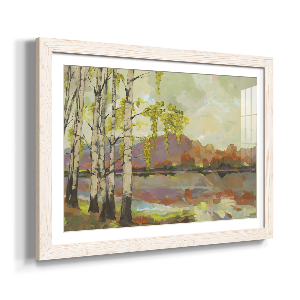 Birch Stand - Barnwood Framed Art Print