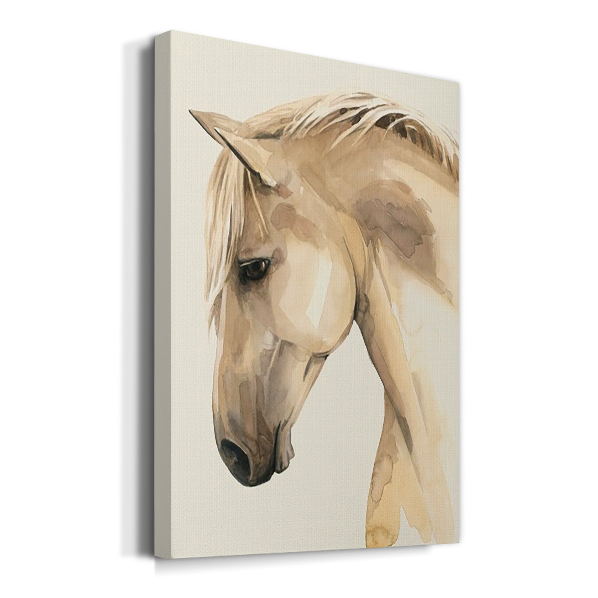 Golden Palomino II Premium Gallery Wrapped Canvas - Ready to Hang