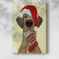 Christmas Drooly Christmas Dane - Gallery Wrapped Canvas