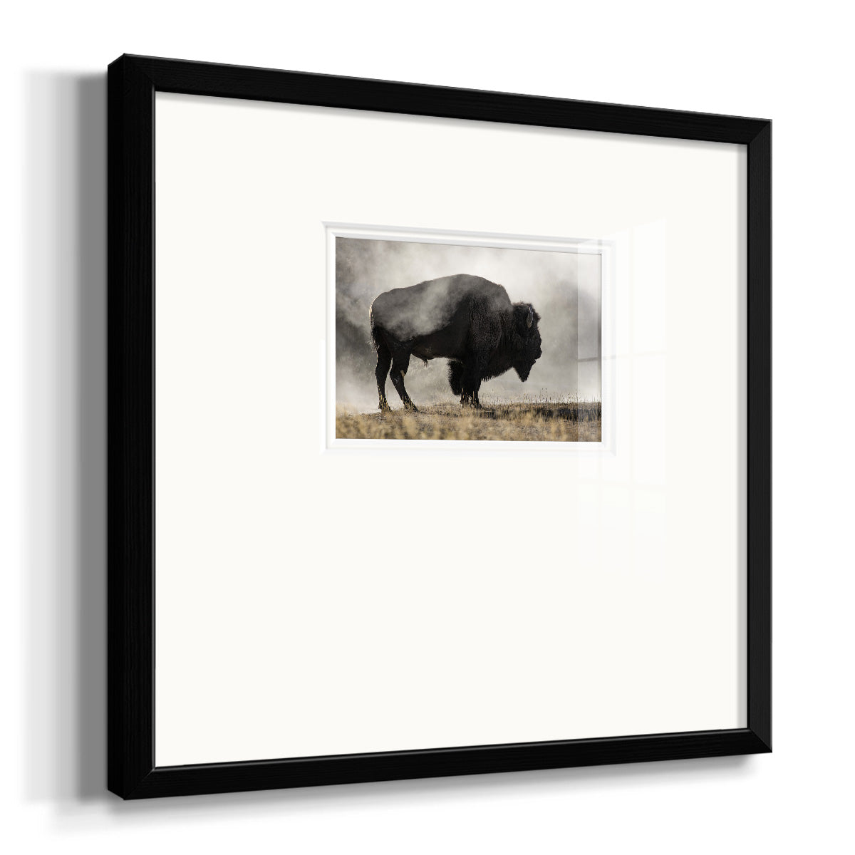 Geyser Basin Premium Framed Print Double Matboard