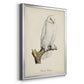 French Owls IV - Modern Framed Canvas Print