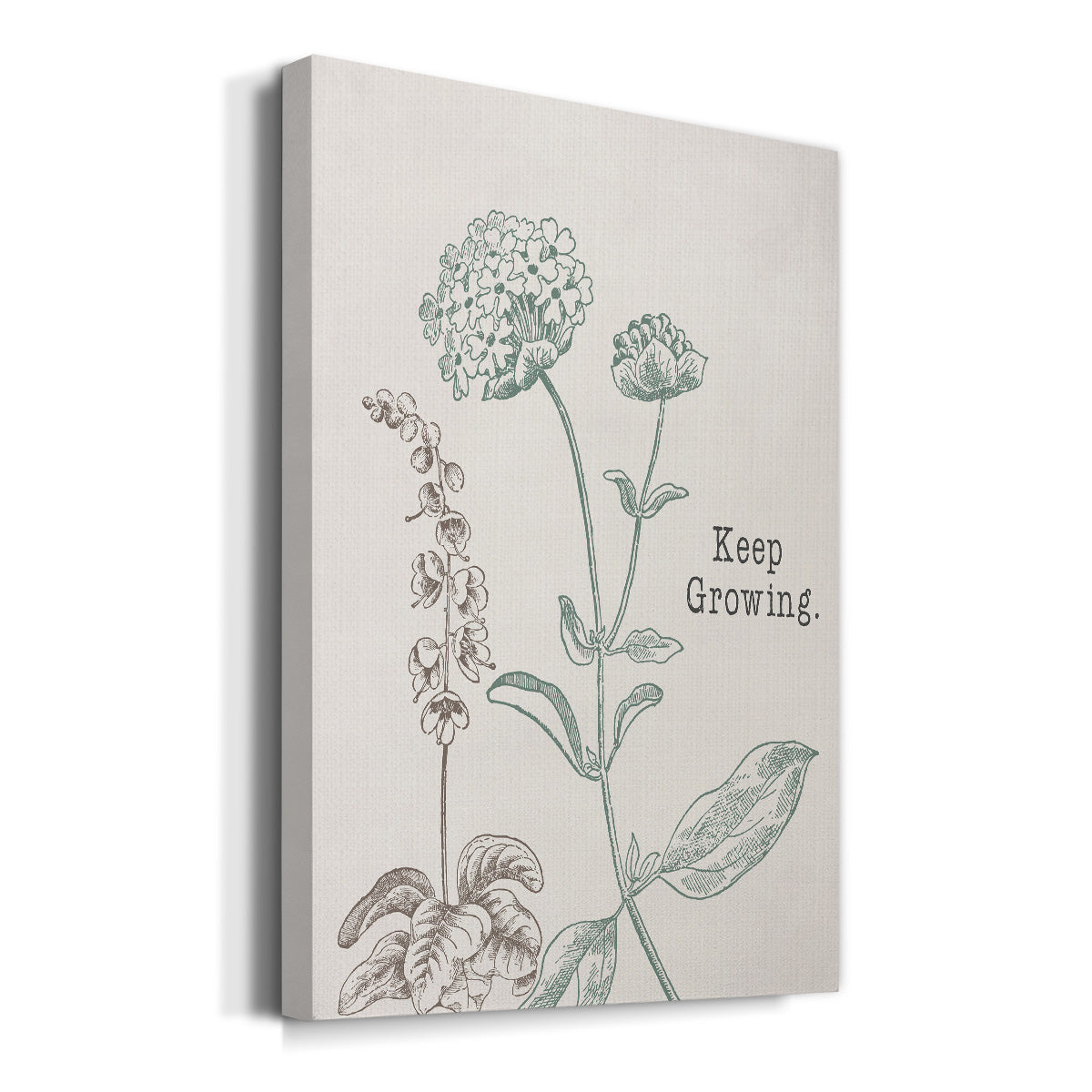 Keep Growing - Canvas Art Print