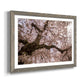Spring's Arrival - Barnwood Framed Art Print