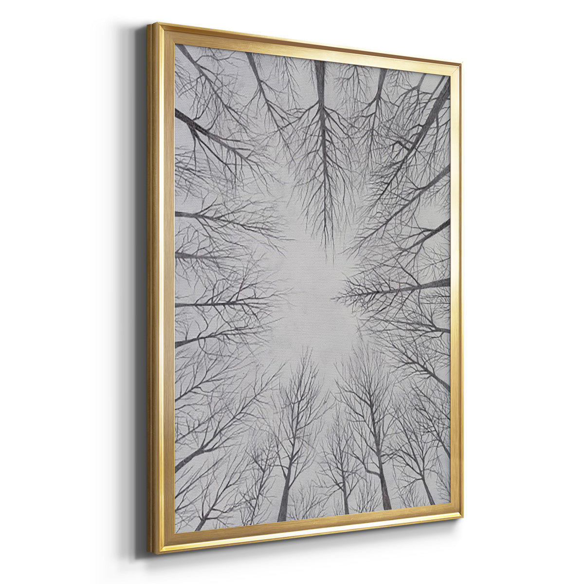 Deciduous Canopy I - Modern Framed Canvas Print