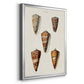 Cone Shell Collection II - Modern Framed Canvas Print