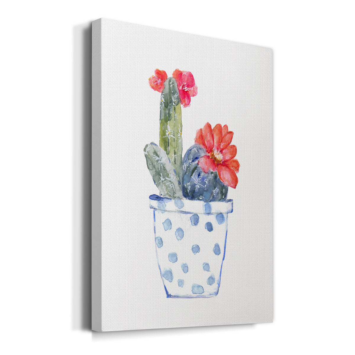 Cactus and Succulent Blooms II - Canvas Art Print