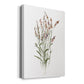 Dainty Botanical II - Canvas Art Print