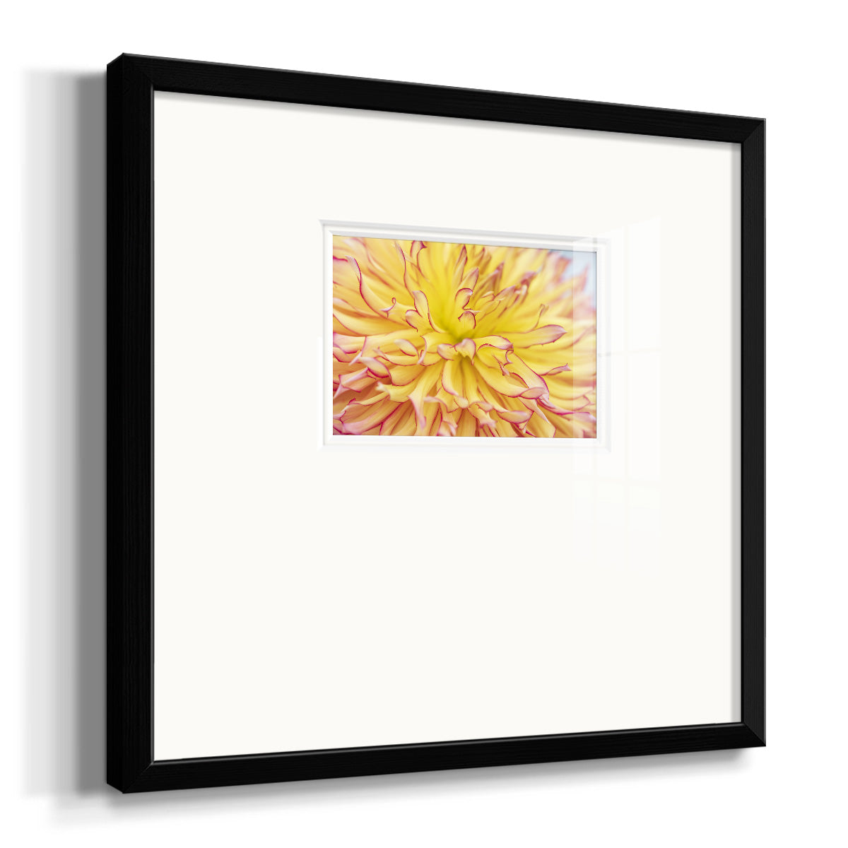 Blooms III Premium Framed Print Double Matboard