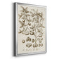 Sepia Botanical Journal II - Modern Framed Canvas Print