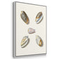 Pastel Knorr Shells I - Framed Premium Gallery Wrapped Canvas L Frame 3 Piece Set - Ready to Hang