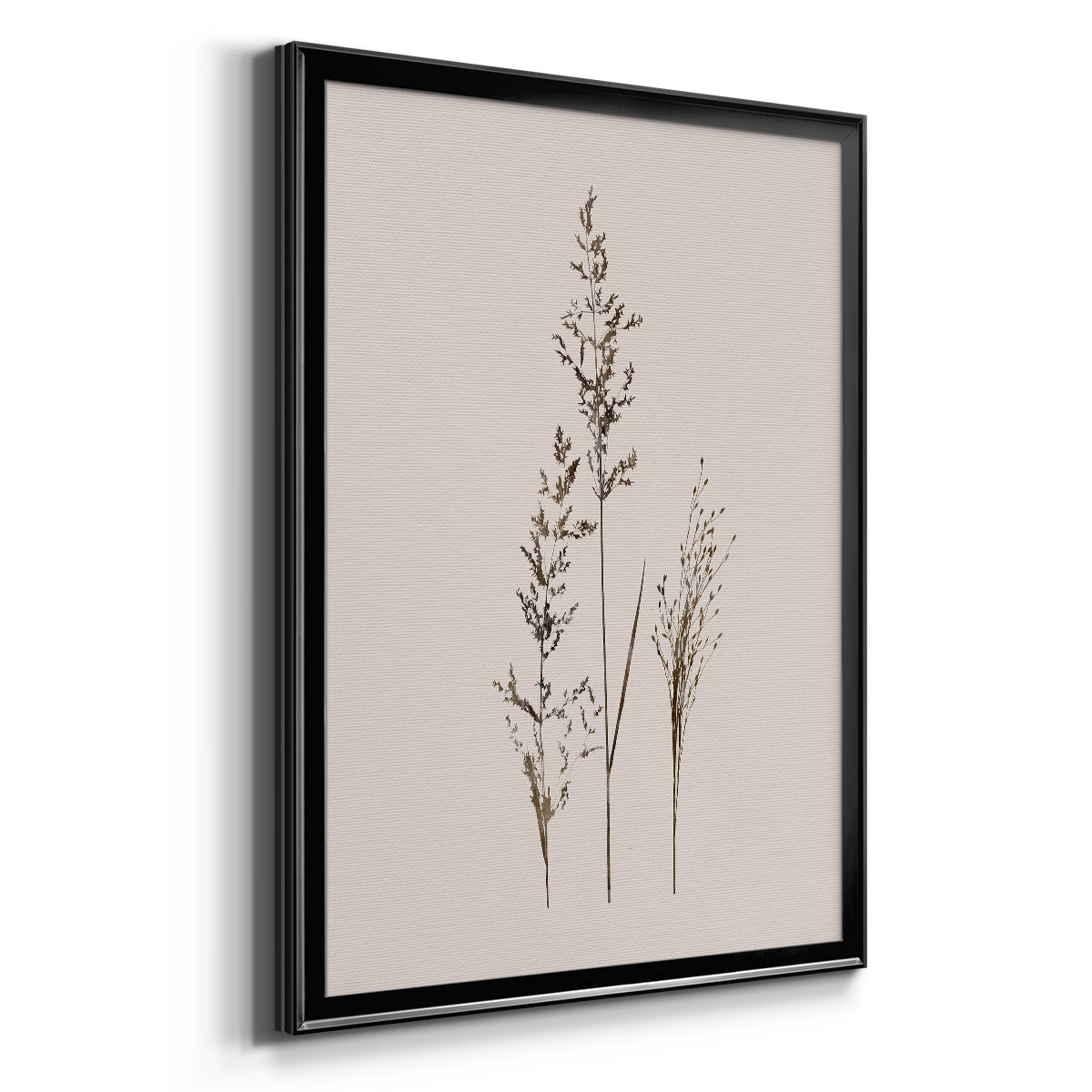 Delicate Stems I - Modern Framed Canvas Print