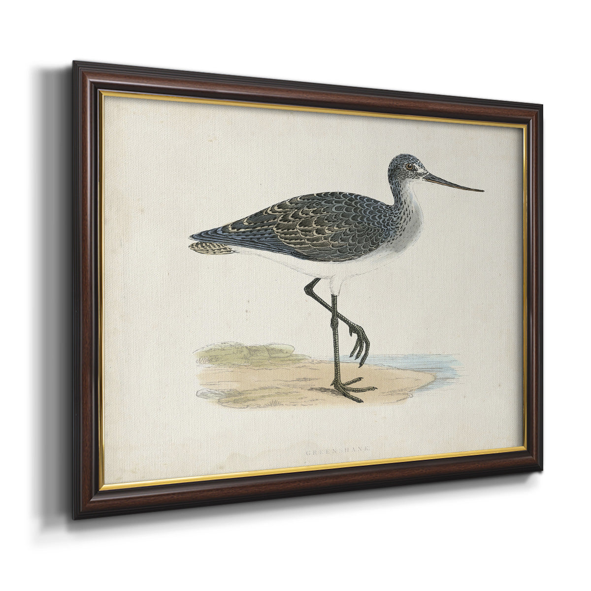 Morris Sandpipers III Premium Framed Canvas- Ready to Hang