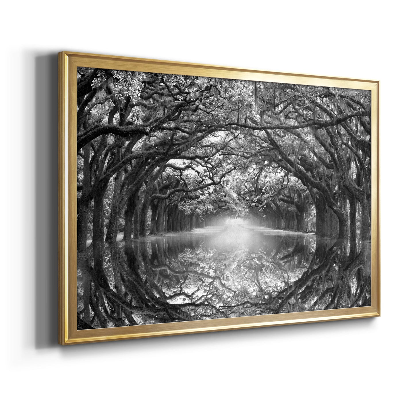 Oak Alley Reflection Premium Classic Framed Canvas - Ready to Hang