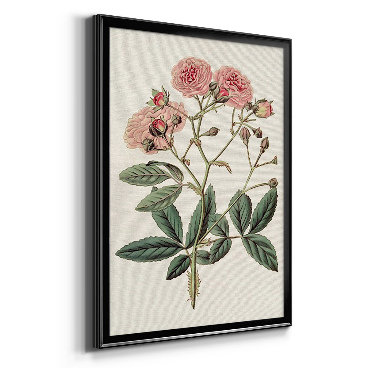 Pink Floral Mix V - Modern Framed Canvas Print