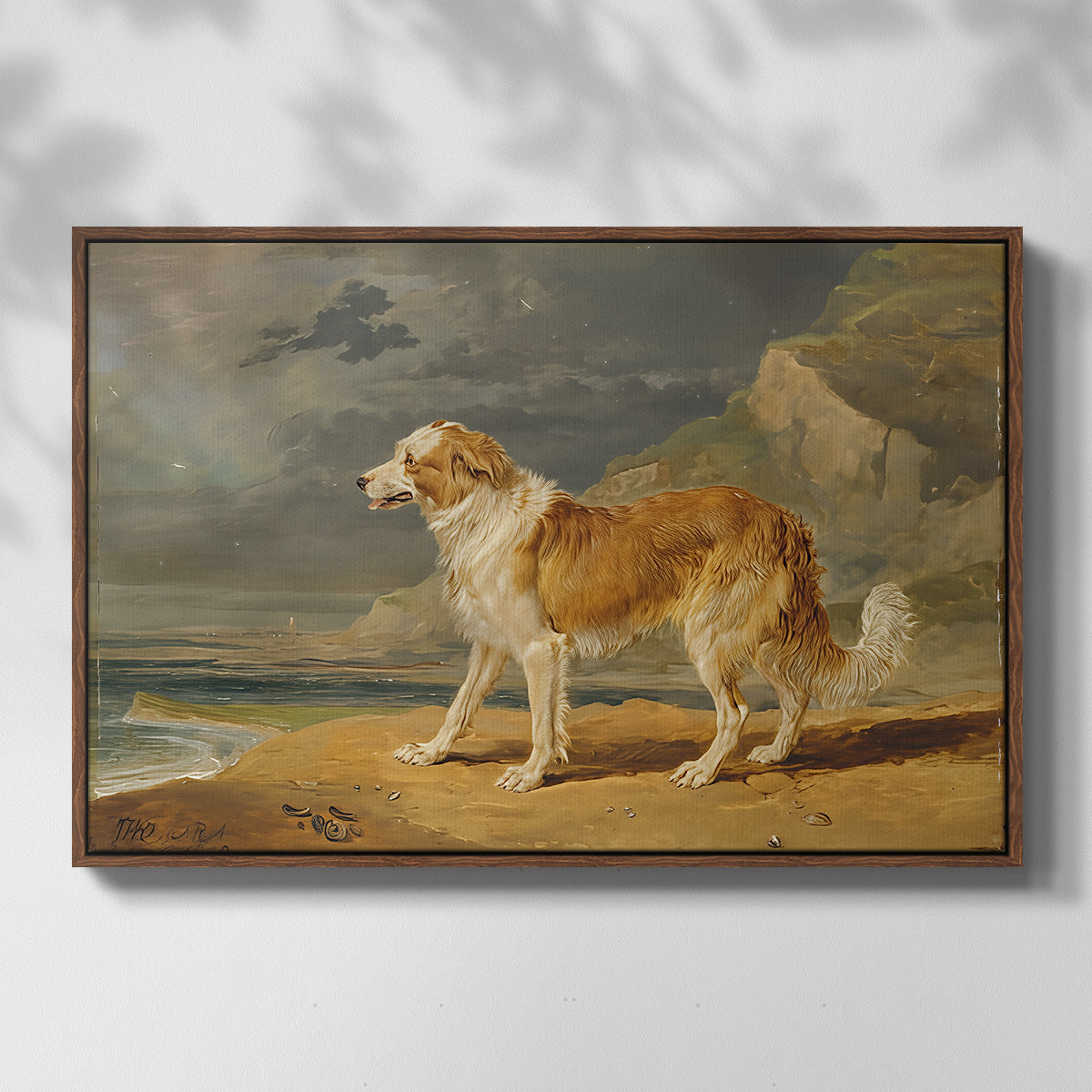 Rough-Coated Collie, 1809 - Floater Framed Canvas Print
