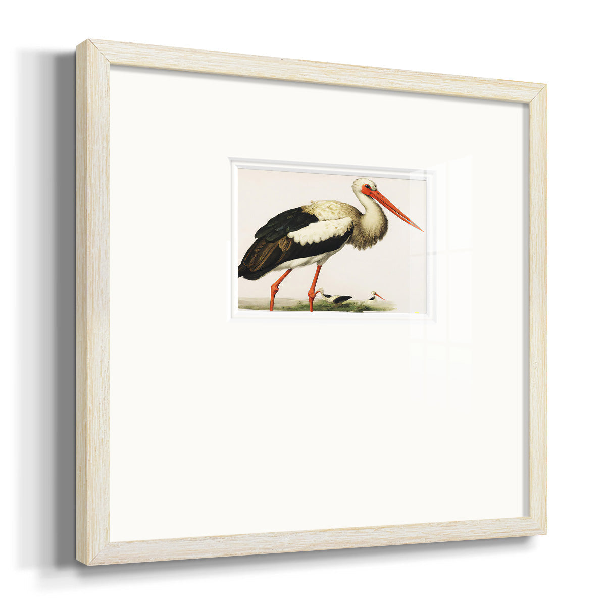 Odd Crane Premium Framed Print Double Matboard