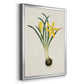 Flowers of the Seasons VI - Modern Framed Canvas Print