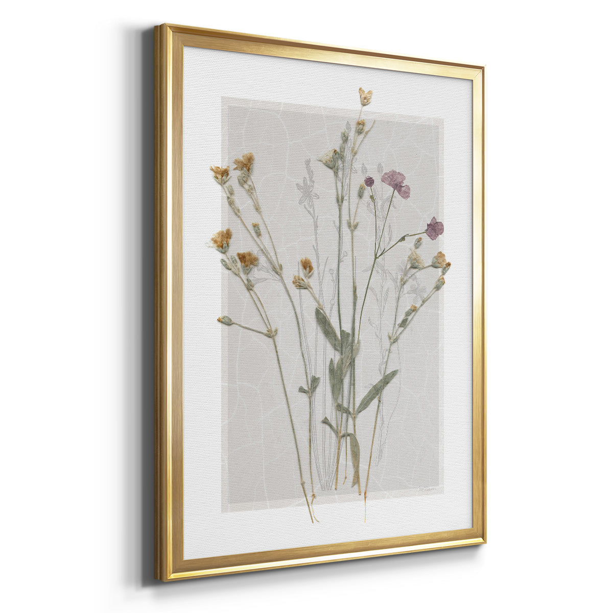 Field Study Page II - Modern Framed Canvas Print