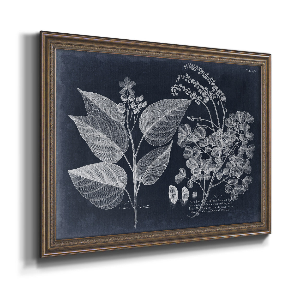 Foliage on Navy III Premium Framed Canvas- Ready to Hang