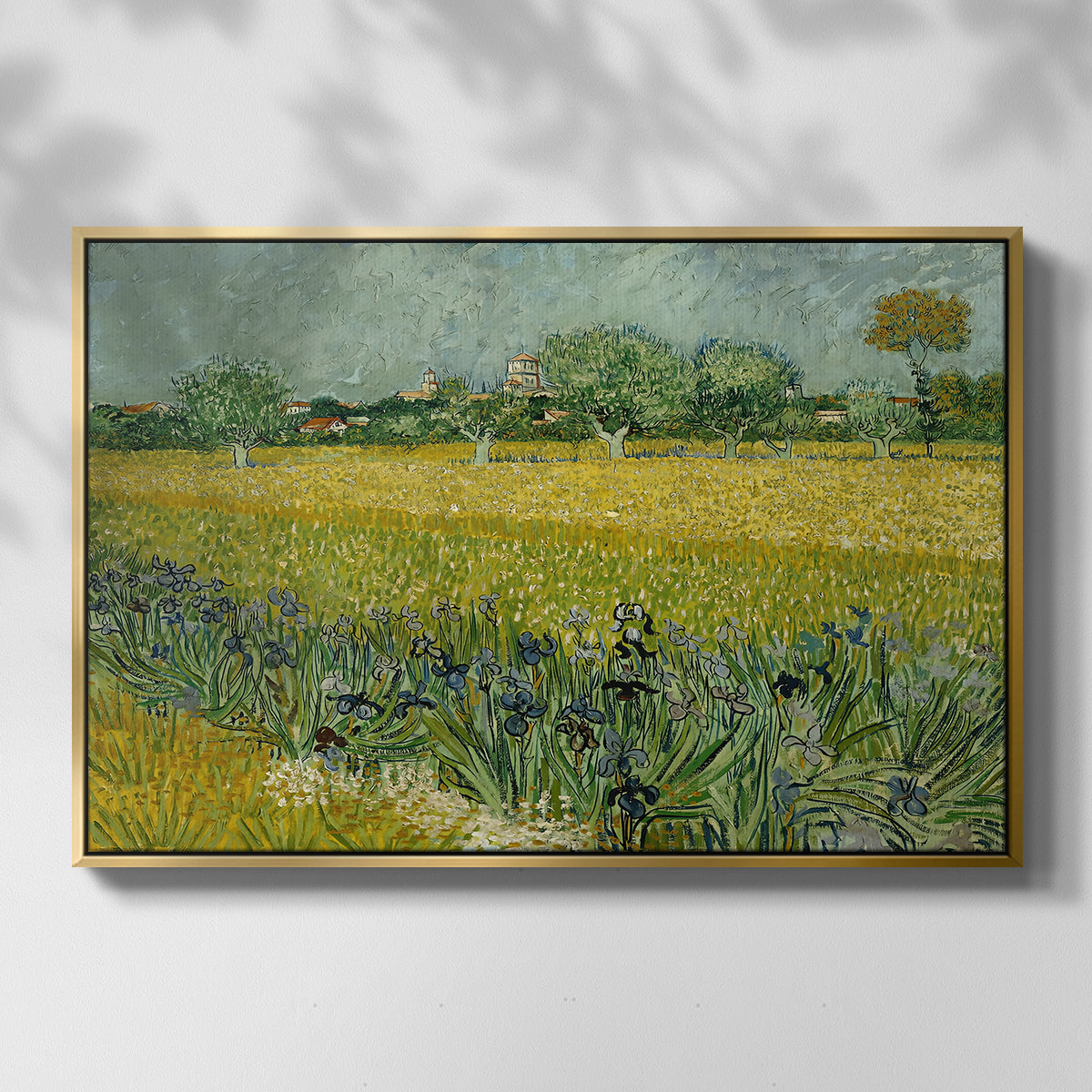 Field with Irises near Arles, 1888 - Floater Framed Canvas Print