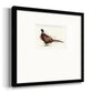 Pheasant Splash 1 Premium Framed Print Double Matboard