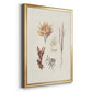 Knorr Shells & Coral VII - Modern Framed Canvas Print