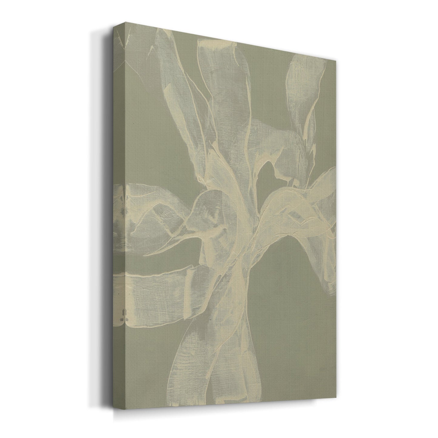 White Ribbon on Celadon II - Canvas Art Print