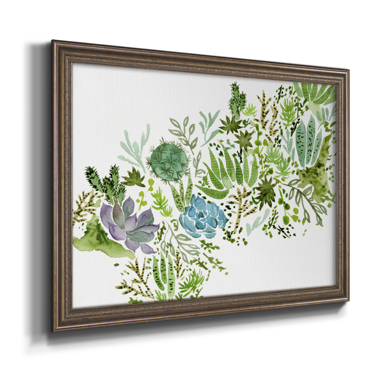 Succulent Field I Premium Framed Canvas- Ready to Hang