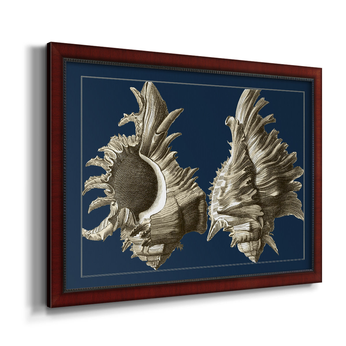 Conch Shells on Navy II Premium Framed Canvas- Ready to Hang