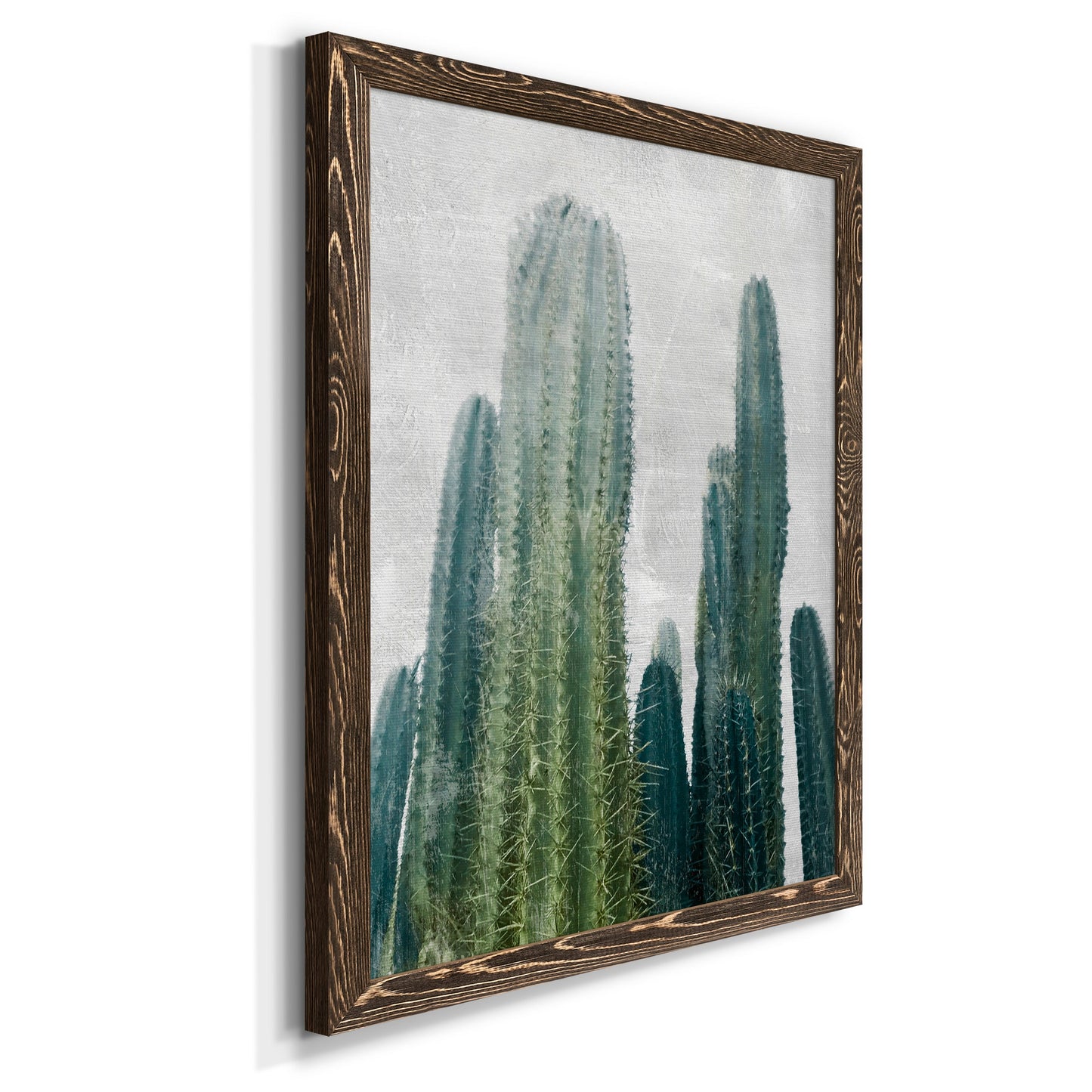 Aruba Cacti I - Premium Canvas Framed in Barnwood - Ready to Hang