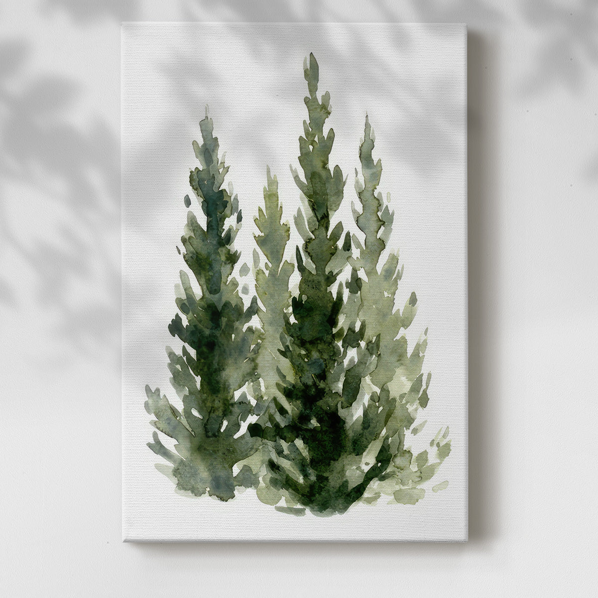 Simple Evergreens II - Gallery Wrapped Canvas