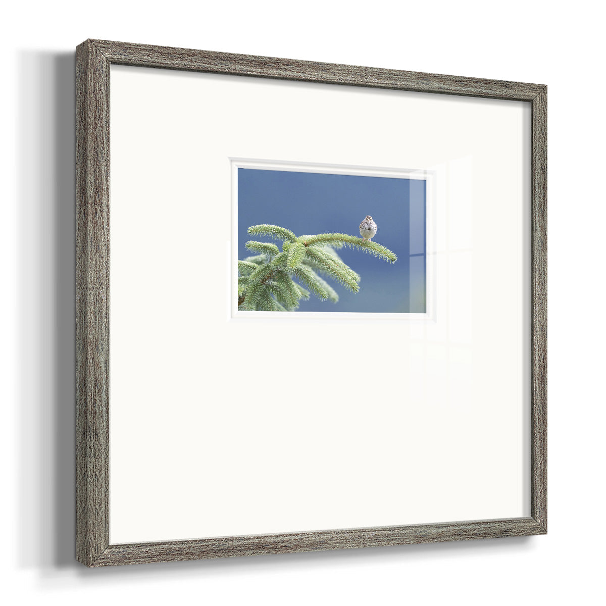 Evergreen Perch Premium Framed Print Double Matboard