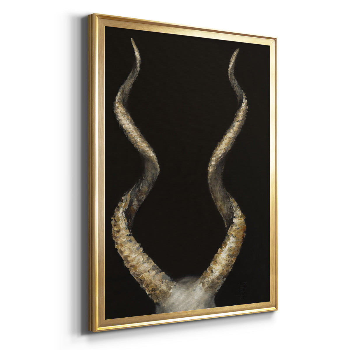 Spiral Antelope Horns -  Framed Canvas Print