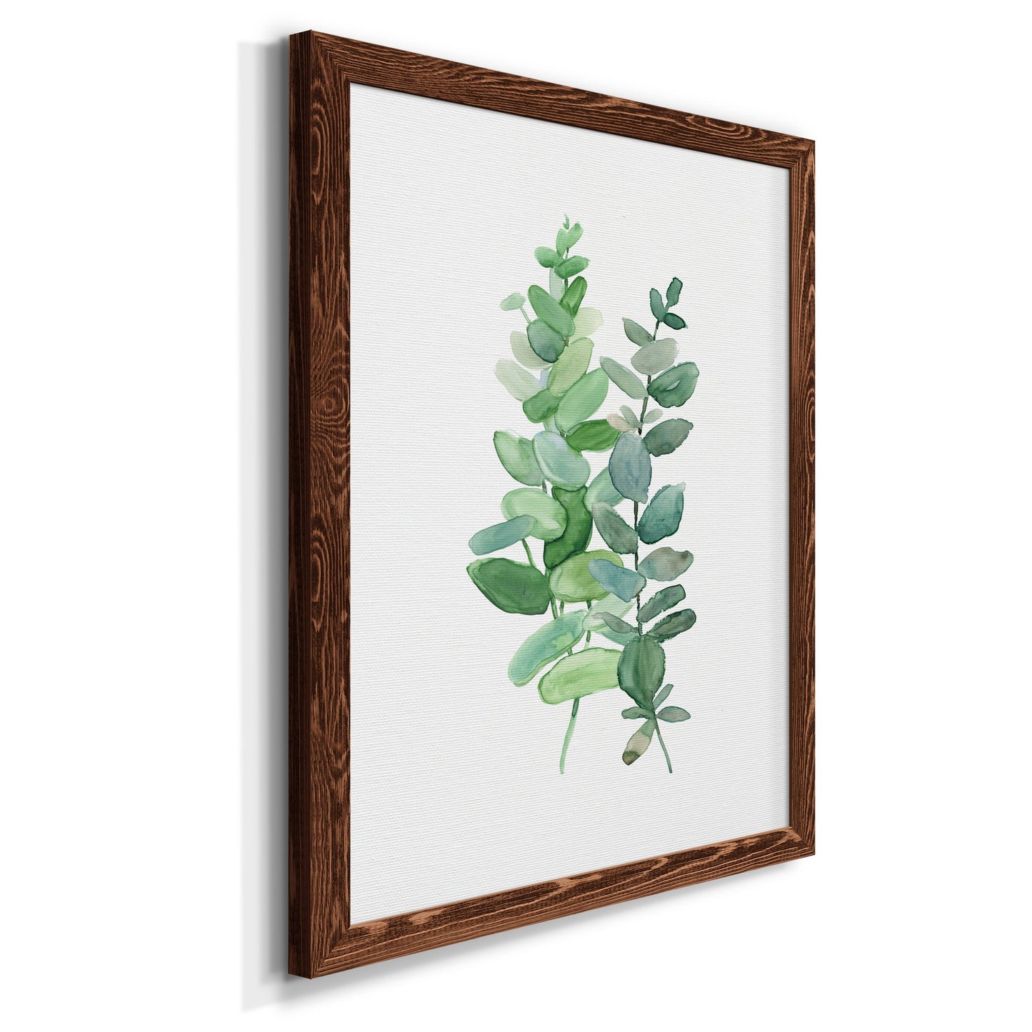 Eucalyptus II - Barnwood Framed Canvas Print