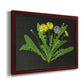 Wild Dandelion II Premium Framed Canvas- Ready to Hang