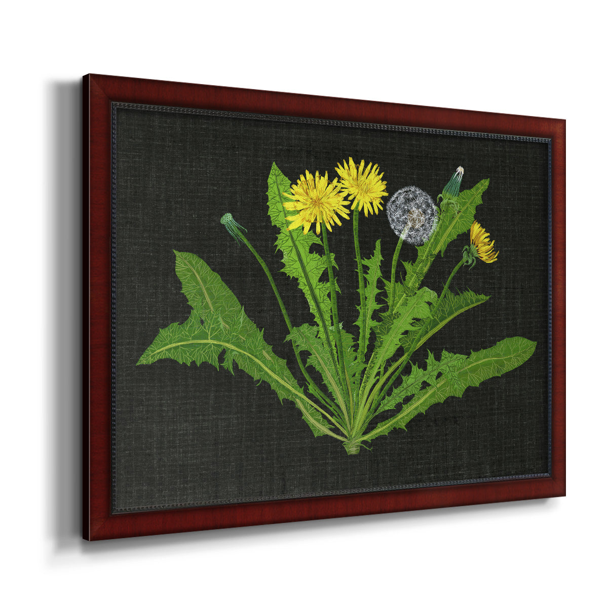 Wild Dandelion II Premium Framed Canvas- Ready to Hang