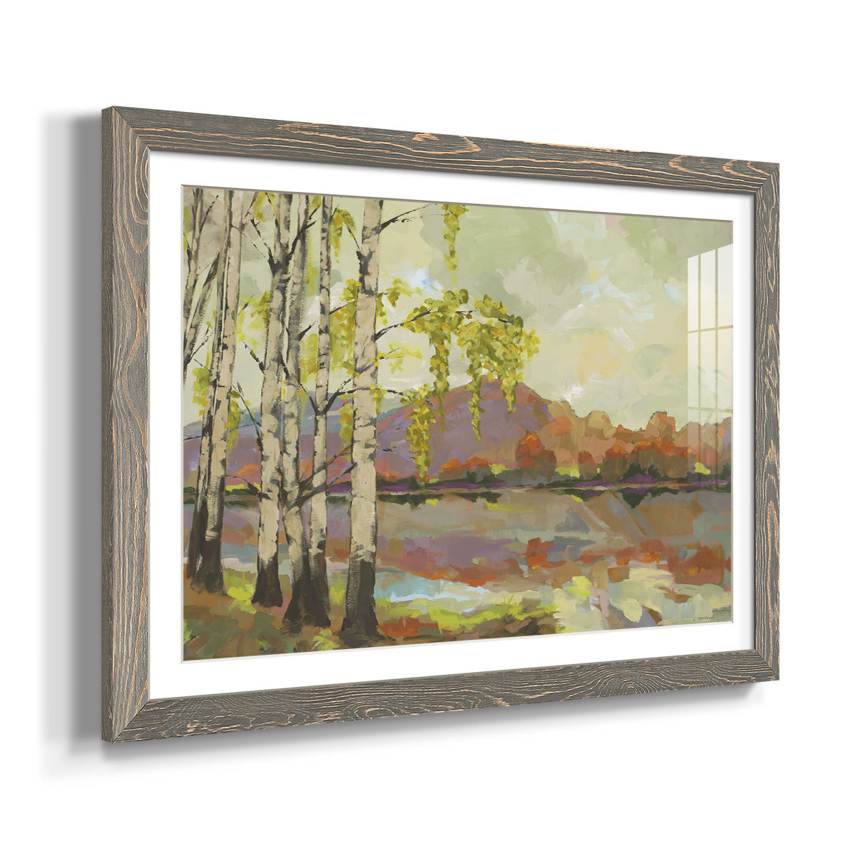 Birch Stand - Barnwood Framed Art Print