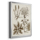 Sepia Botanical Journal VII - Modern Framed Canvas Print
