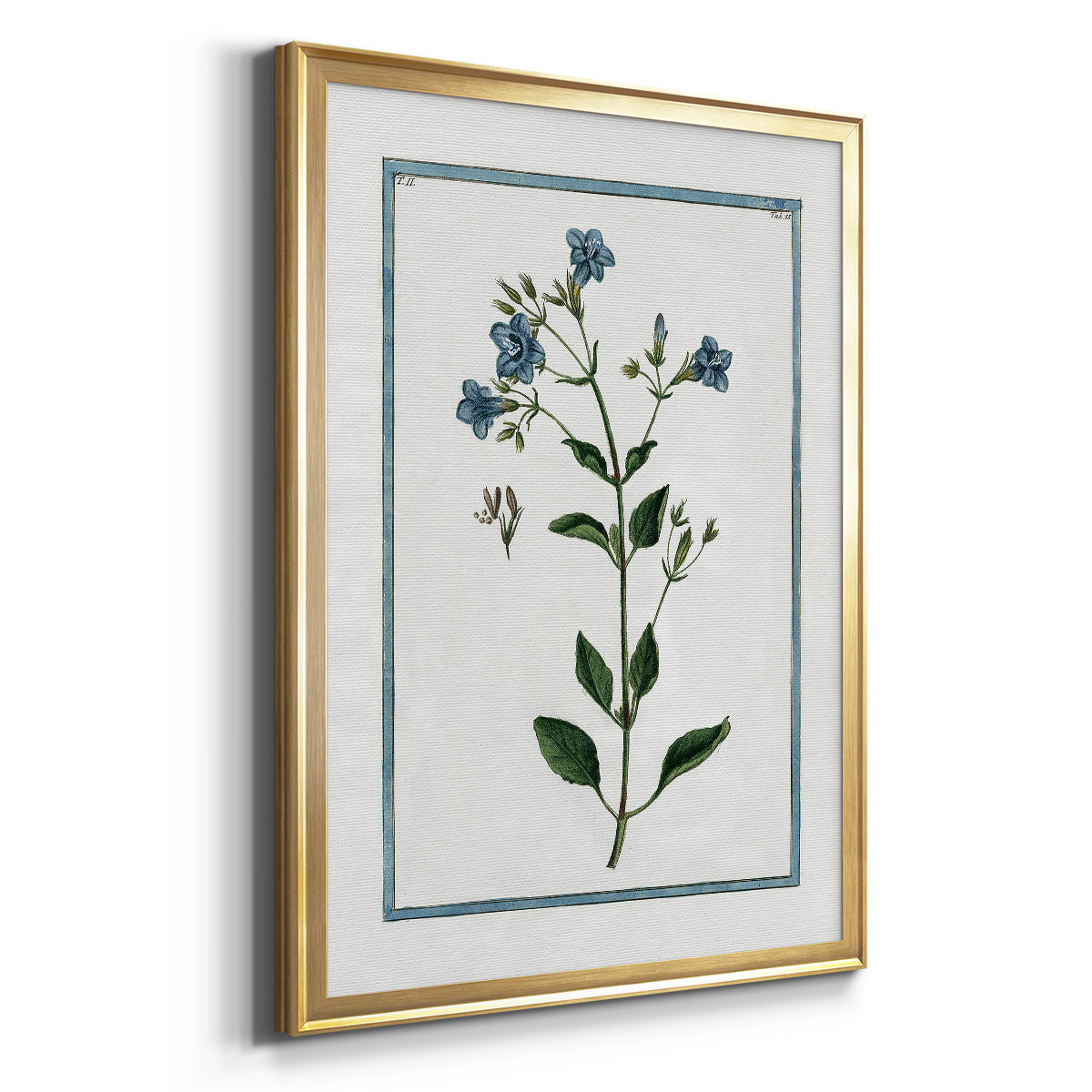 Shabby Chic Botanical II - Modern Framed Canvas Print