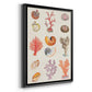 Coral & Shell Collage I -  Framed Canvas Print