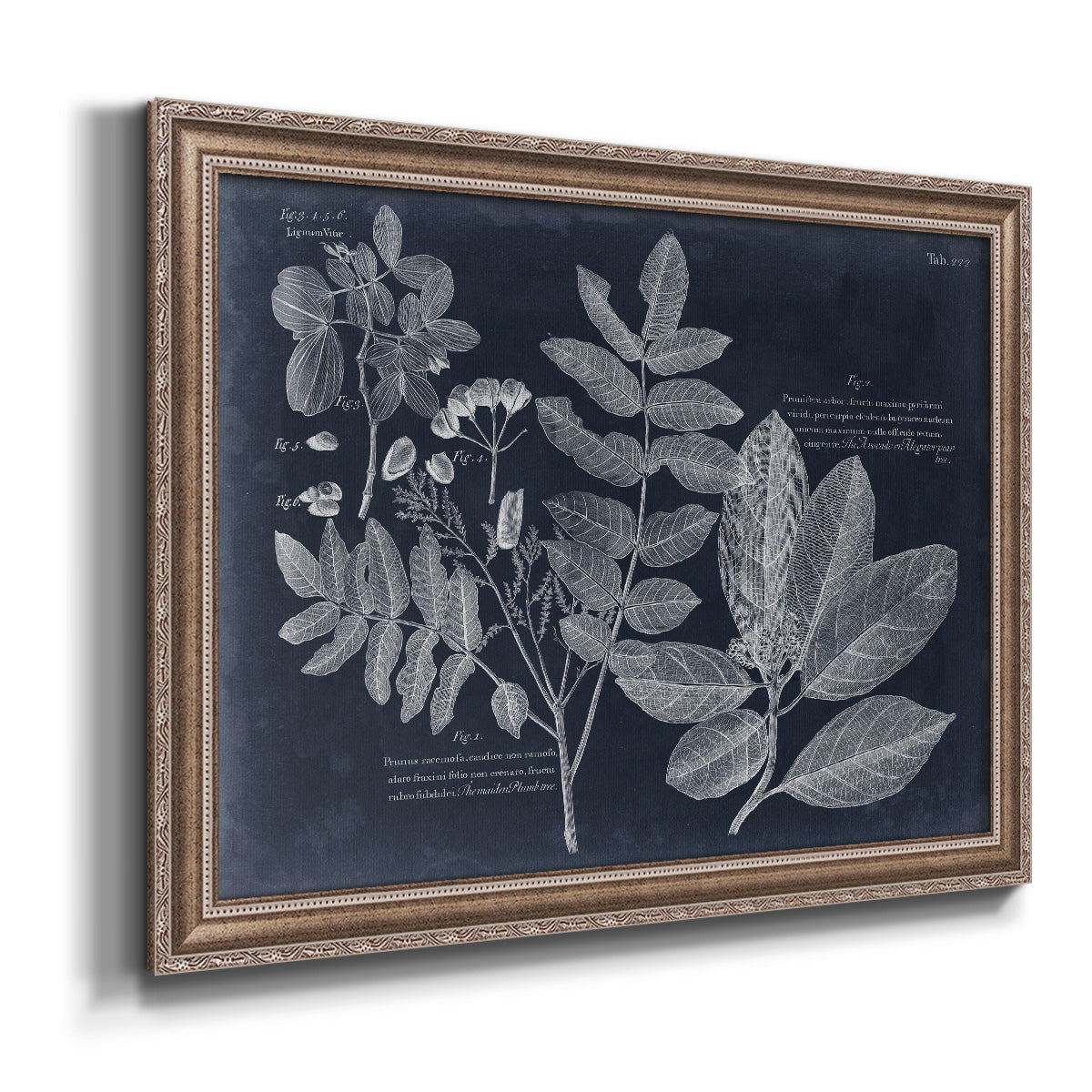 Foliage on Navy V Premium Framed Canvas- Ready to Hang