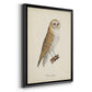 French Owls VI - Modern Framed Canvas Print