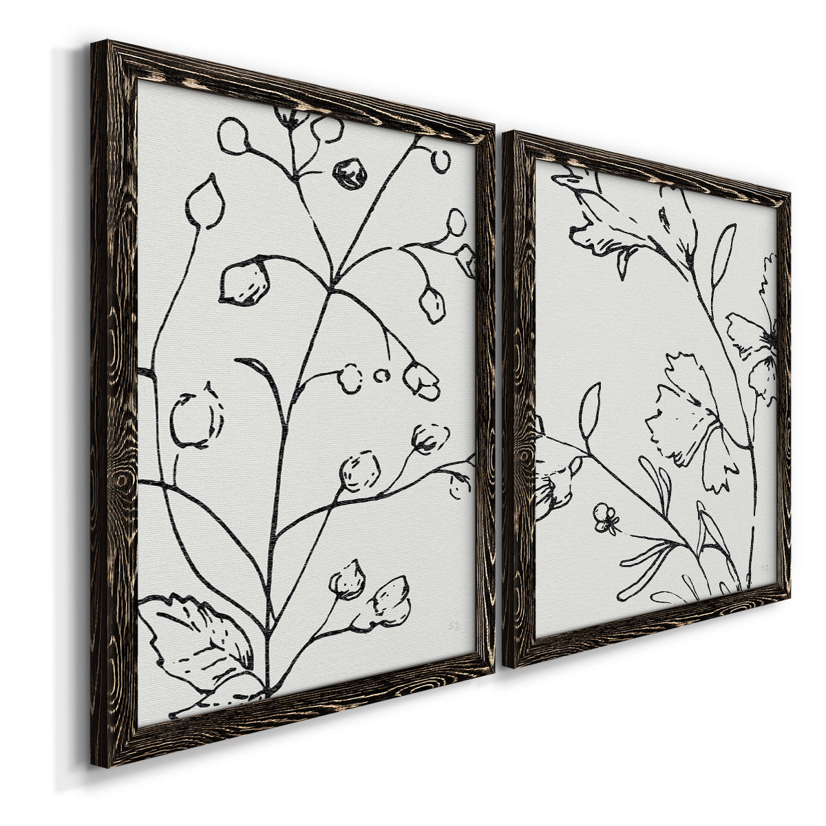 Botanical Sketch I   - Premium Framed Canvas 2 Piece Set - Ready to Hang