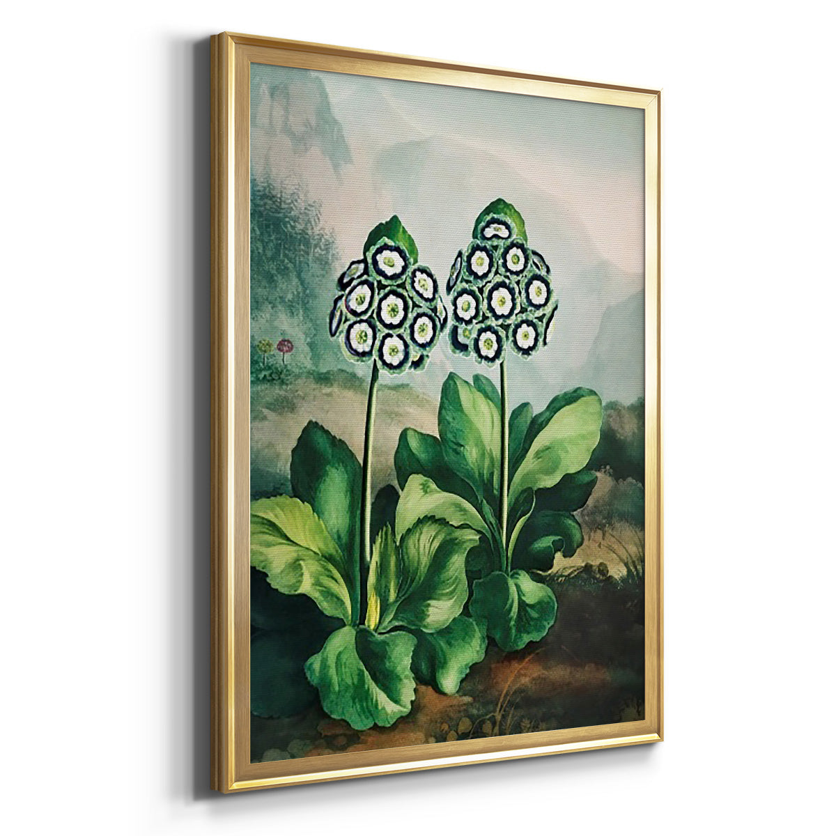 Temple of Flora XI - Modern Framed Canvas Print