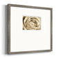 Neutral Wall Flower IV Premium Framed Print Double Matboard