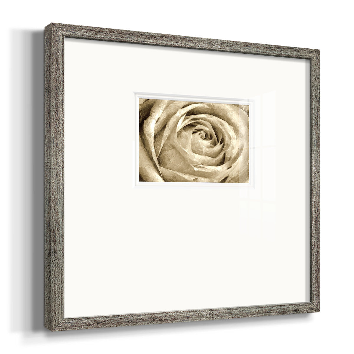 Neutral Wall Flower IV Premium Framed Print Double Matboard