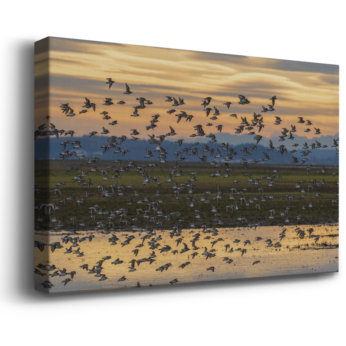 Sunset Flight Premium Gallery Wrapped Canvas - Ready to Hang