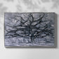 The Gray Tree, 1911 - Floater Framed Canvas Print