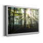 Light and Trees Premium Classic Framed Canvas - Ready to Hang